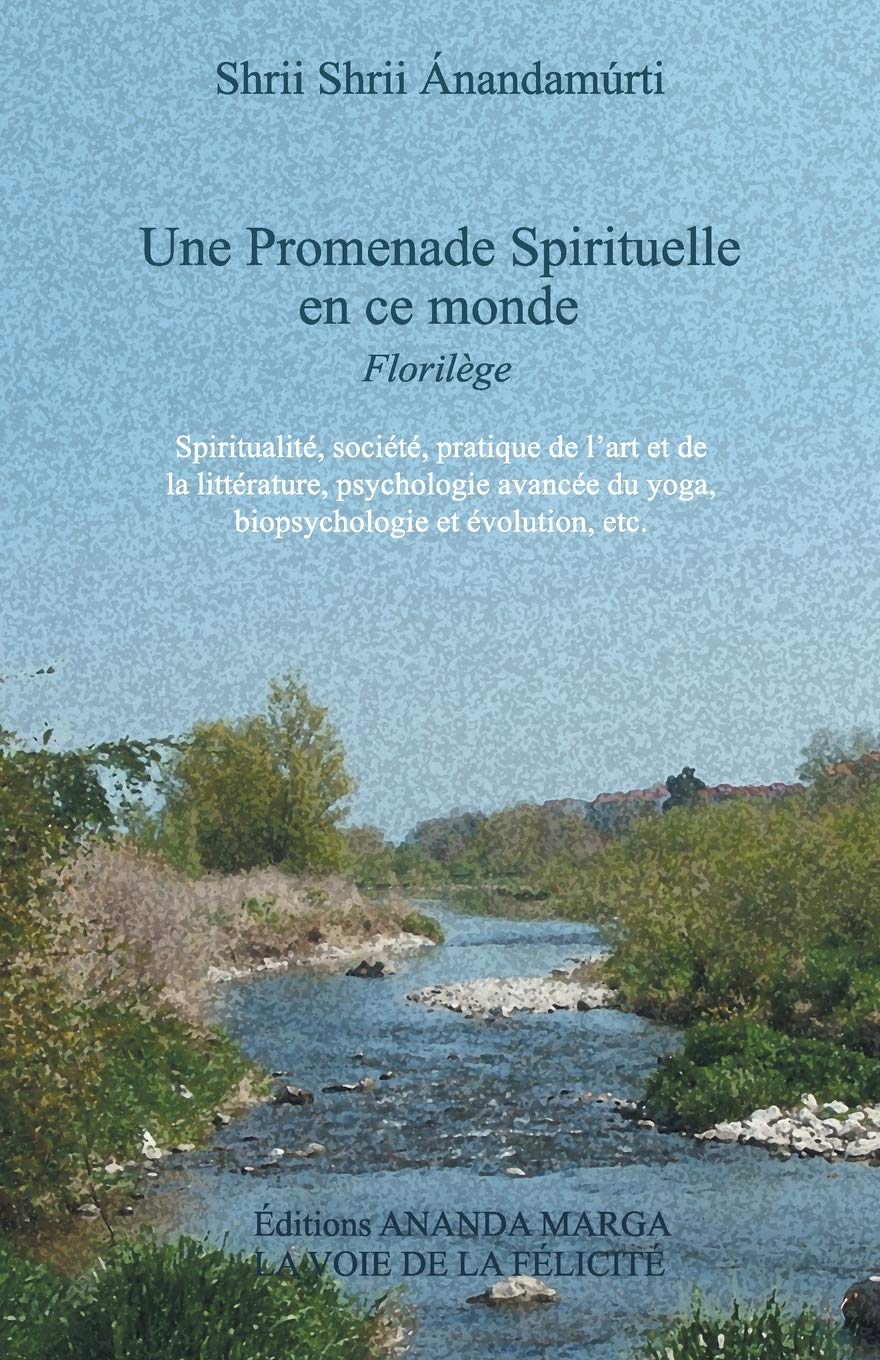 Couverture Promenade spirituelle